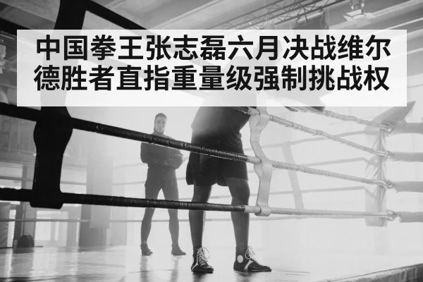 heavyweight boxer training