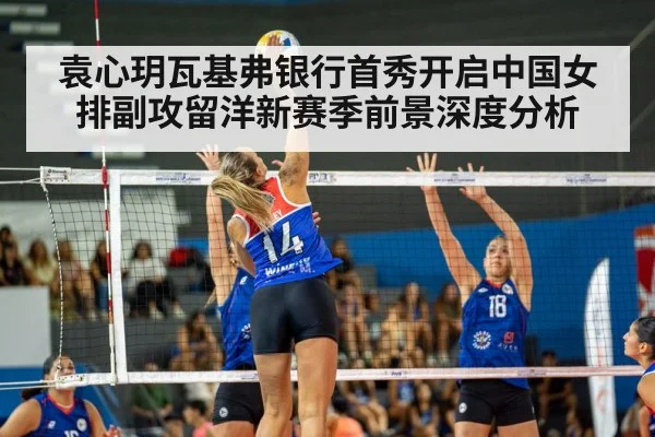 volleyball match arena